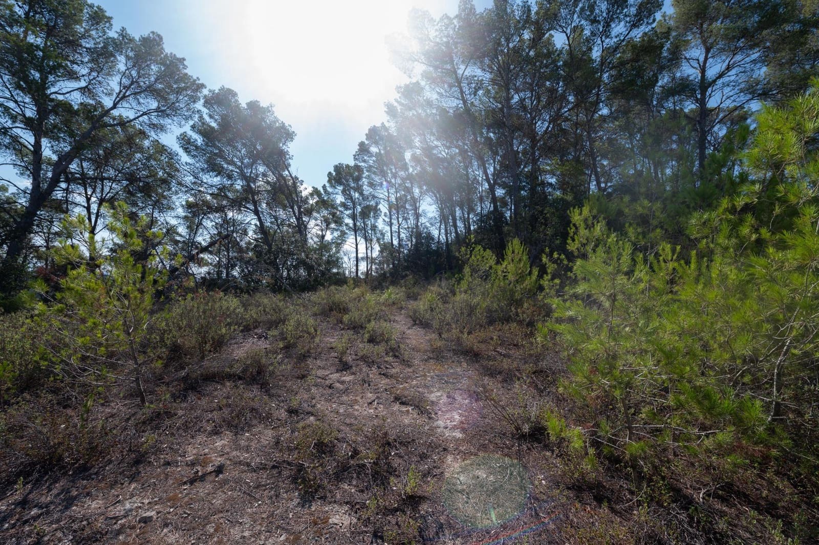 3 makuuhuone Maalaistalo myytävänä paikassa Sineu mukana uima-altaan 
autotalli - 1 580 000 € (Ref: 9156095)