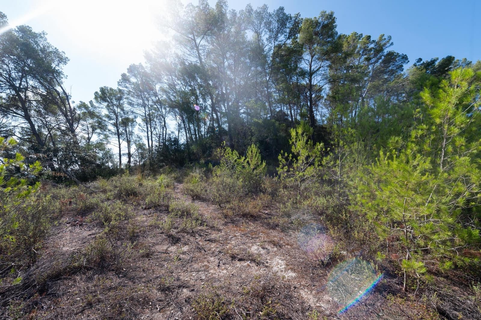 3 makuuhuone Maalaistalo myytävänä paikassa Sineu mukana uima-altaan 
autotalli - 1 580 000 € (Ref: 9156095)