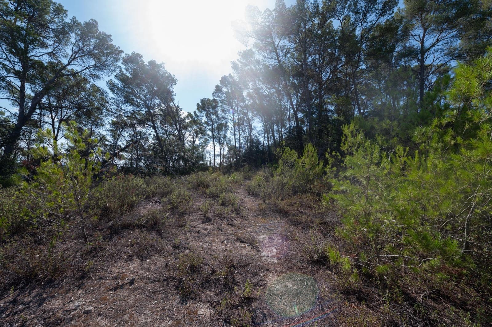 3 slaapkamer Finca/Landhuis te koop in Sineu met zwembad garage - € 1.250.000 (Ref: 9156095)