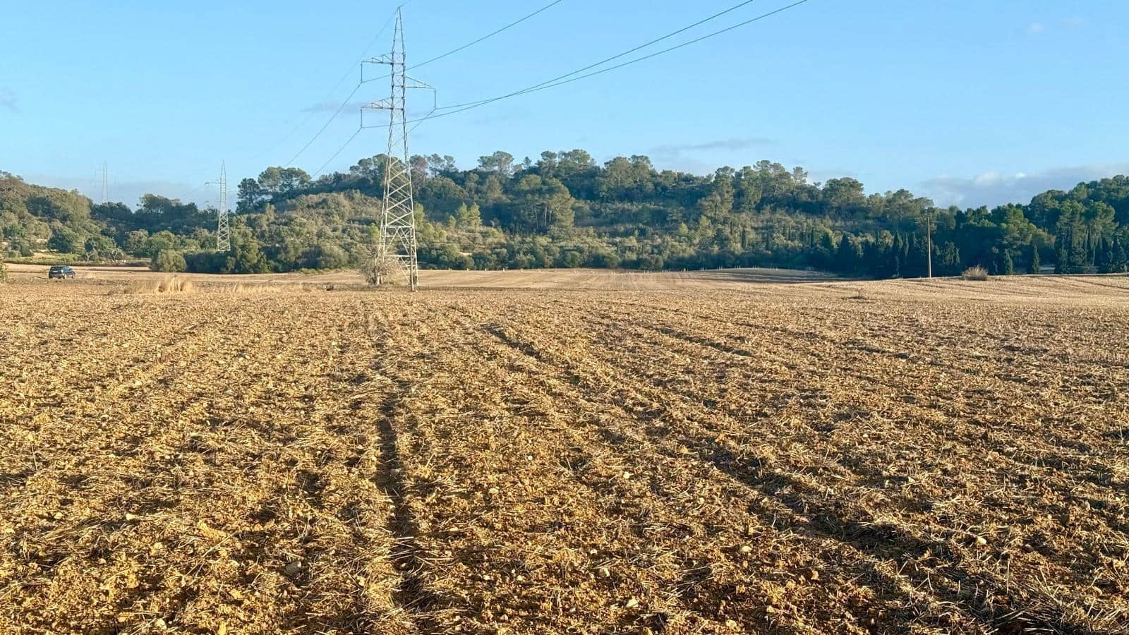 Terreno Não Urbanizado para venda em Maria de la Salud / Maria de la Salut - 230 000 € (Ref: 9312897)