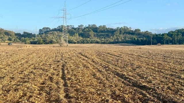 Terreno Non Edificato in vendita in María de la Salud / María de la Salut - 230.000 € (Rif: 9312897)