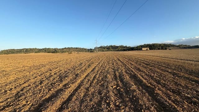 Ubebygd land til salgs i María de la Salud / María de la Salut - € 230 000 (Ref: 9312897)