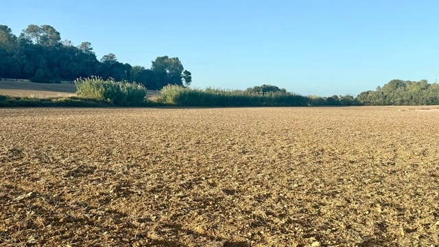 Terreno Non Edificato in vendita in María de la Salud / María de la Salut - 230.000 € (Rif: 9312897)