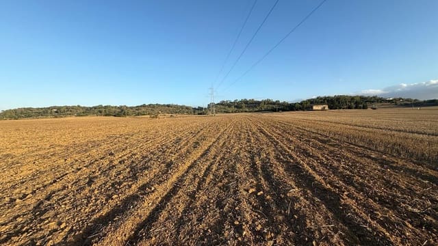 Teren niezagospodarowany na sprzedaż w María de la Salud / María de la Salut - 180 000 € (Ref: 9312897)