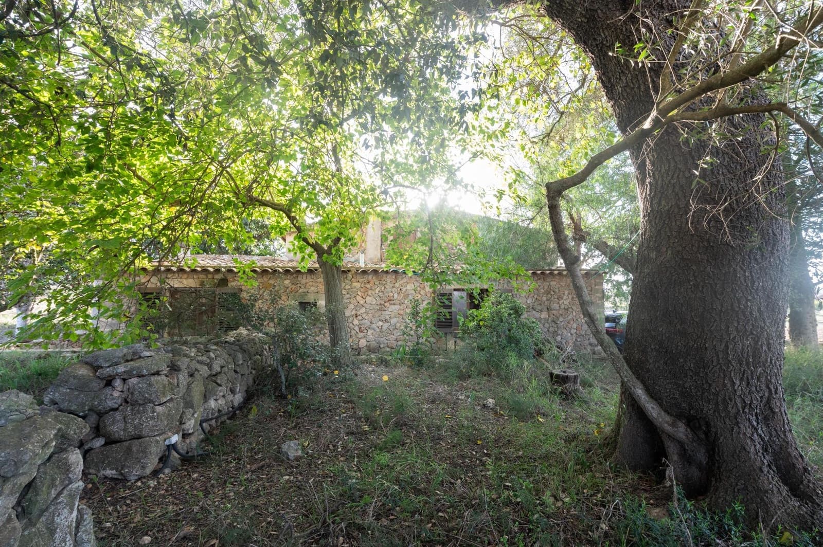 4 makuuhuone Maalaistalo vuokrattavana paikassa Sineu mukana uima-altaan 
autotalli - 2 600 € (Ref: 9349570)