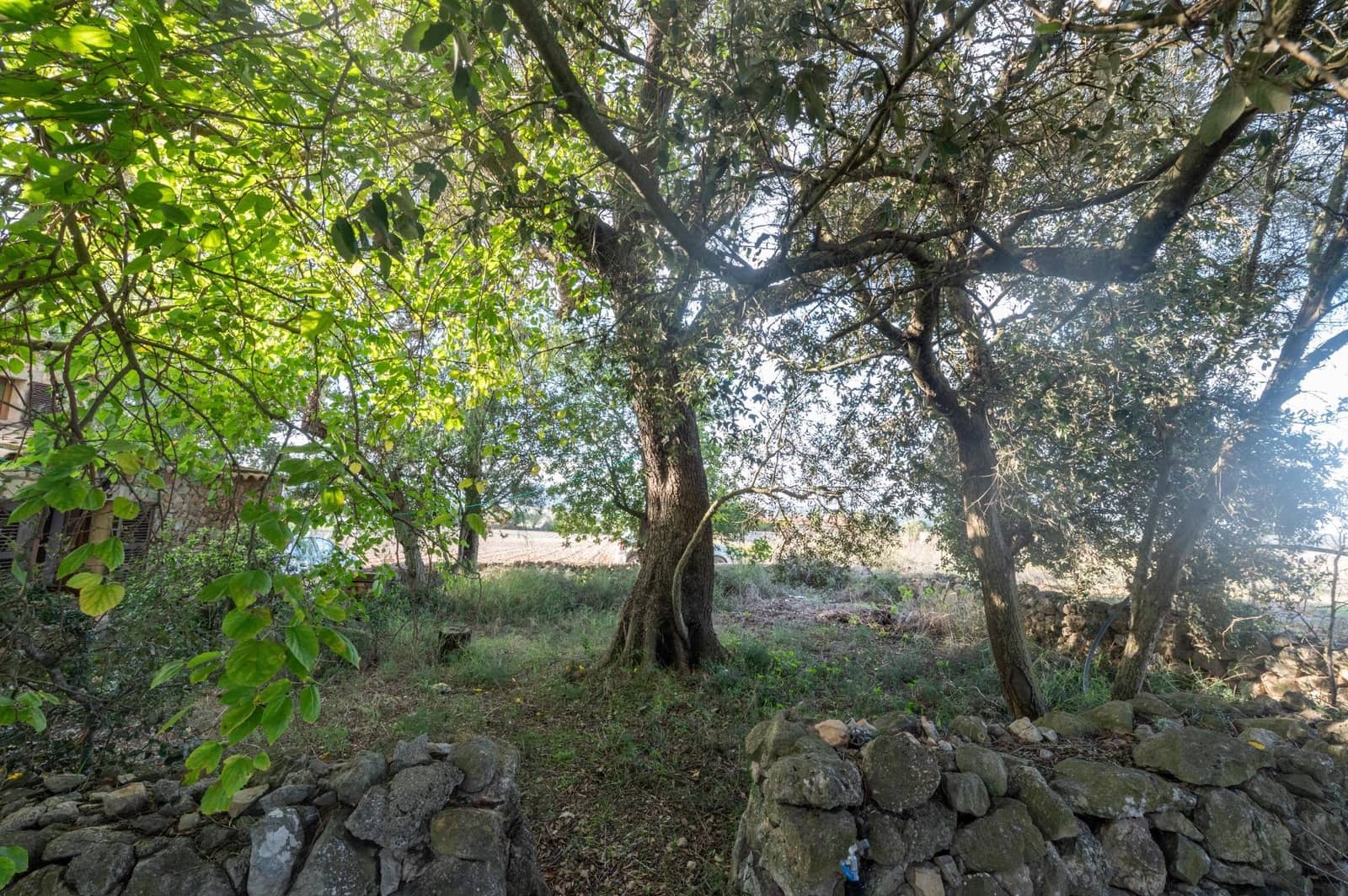 4 makuuhuone Maalaistalo vuokrattavana paikassa Sineu mukana uima-altaan 
autotalli - 2 600 € (Ref: 9349570)