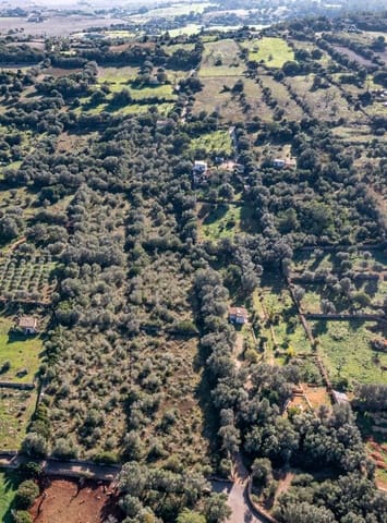 2 chambre Finca/Maison de Campagne à vendre à Llubí - 495 000 € (Ref: 9393298)