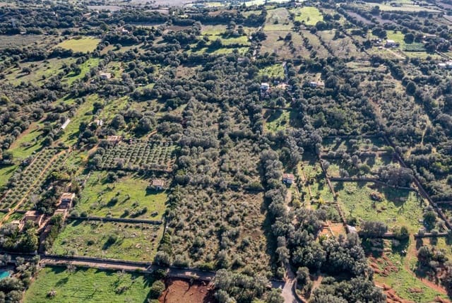 2 chambre Finca/Maison de Campagne à vendre à Llubí - 495 000 € (Ref: 9393298)