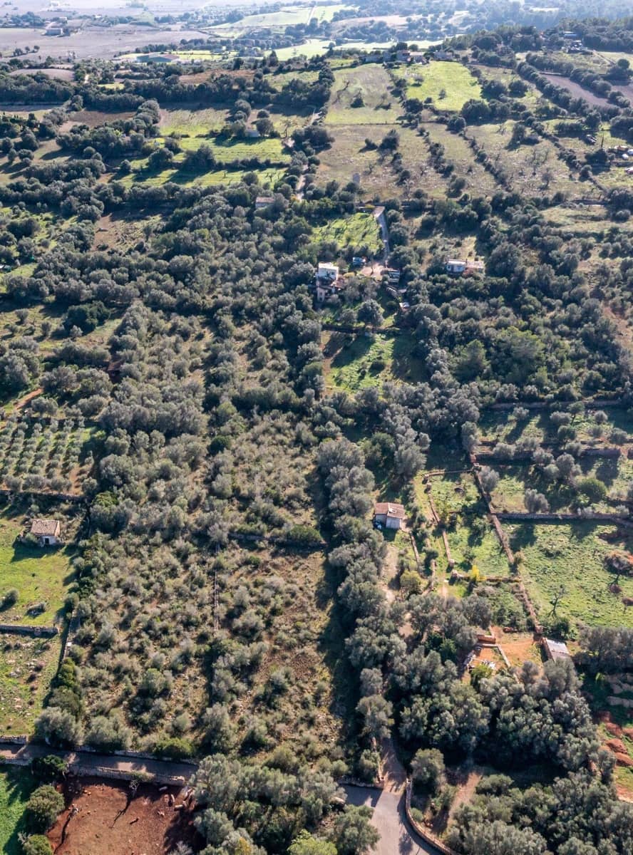 2 bedroom Finca/Country House for sale in Llubi - € 495,000 (Ref: 9393298)