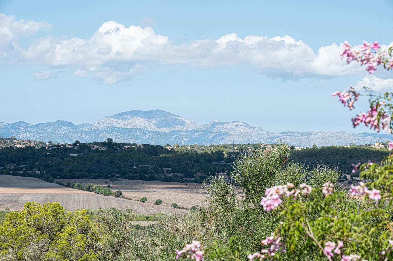 5 bedroom Finca/Country House for sale in Sineu with garage - € 3,150,000 (Ref: 9393299)