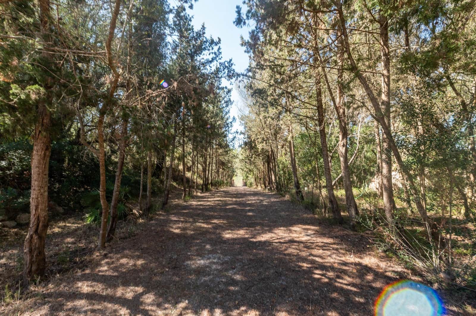 5 soveværelse Finca/Landehus til salg i Sineu med garage - € 3.150.000 (Ref: 9393299)