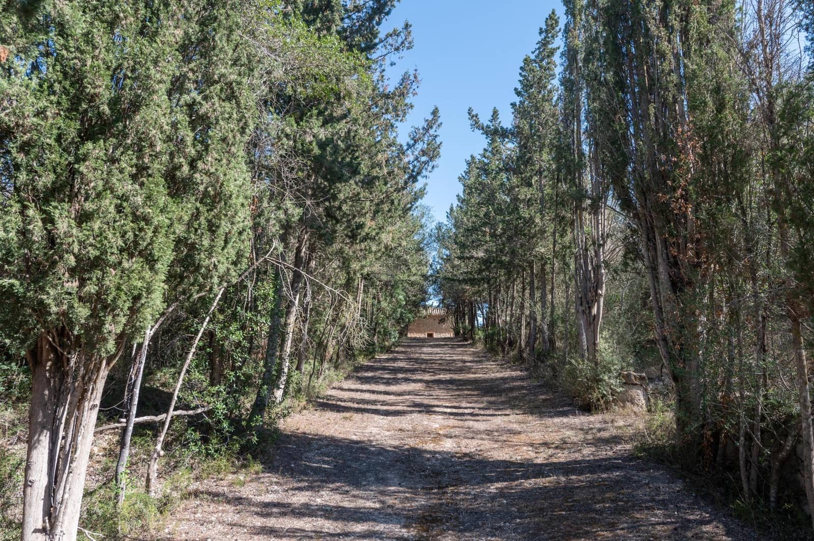 5 soveværelse Finca/Landehus til salg i Sineu med garage - € 3.150.000 (Ref: 9393299)