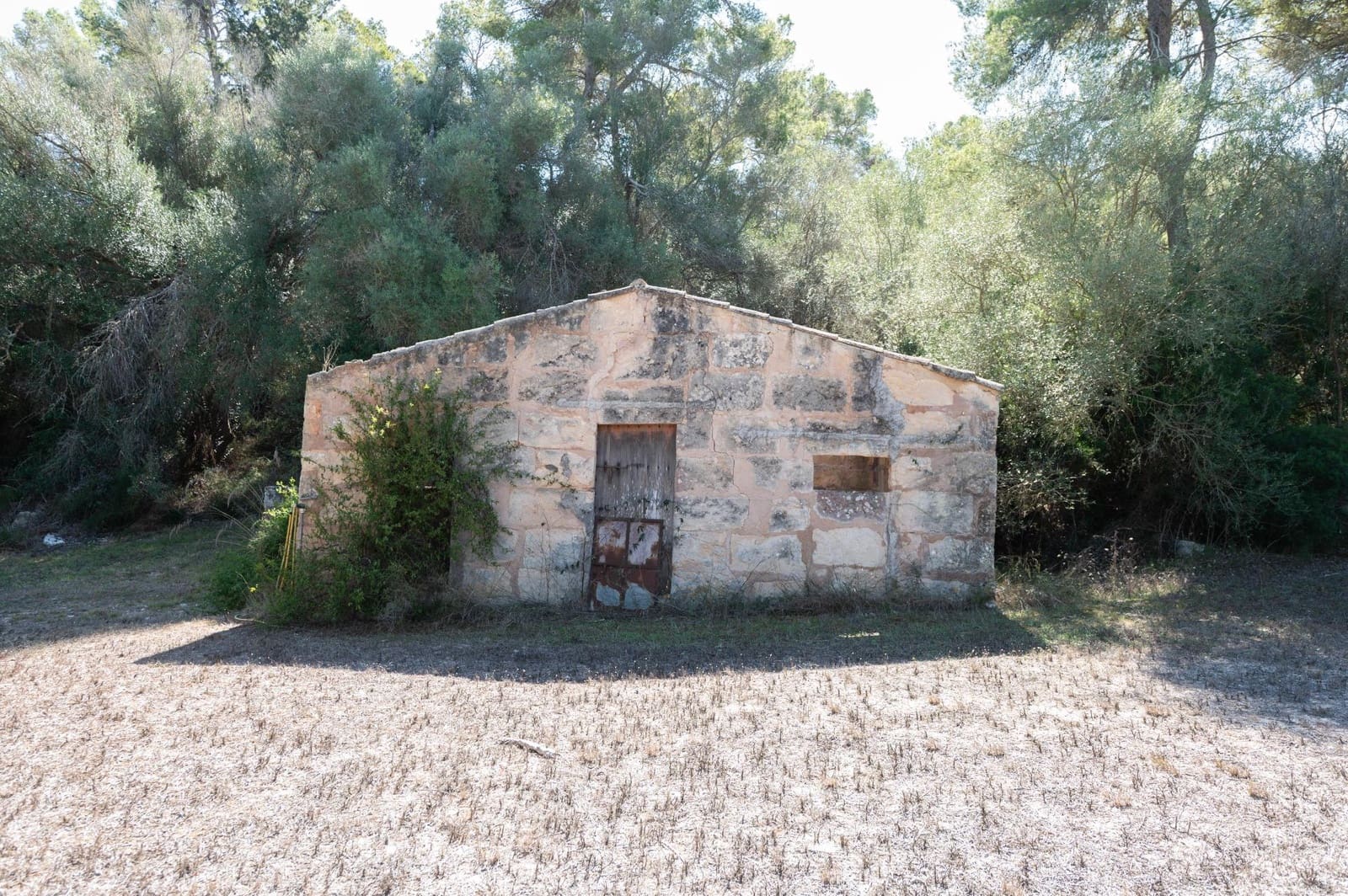 5 soveværelse Finca/Landehus til salg i Sineu med garage - € 3.150.000 (Ref: 9393299)