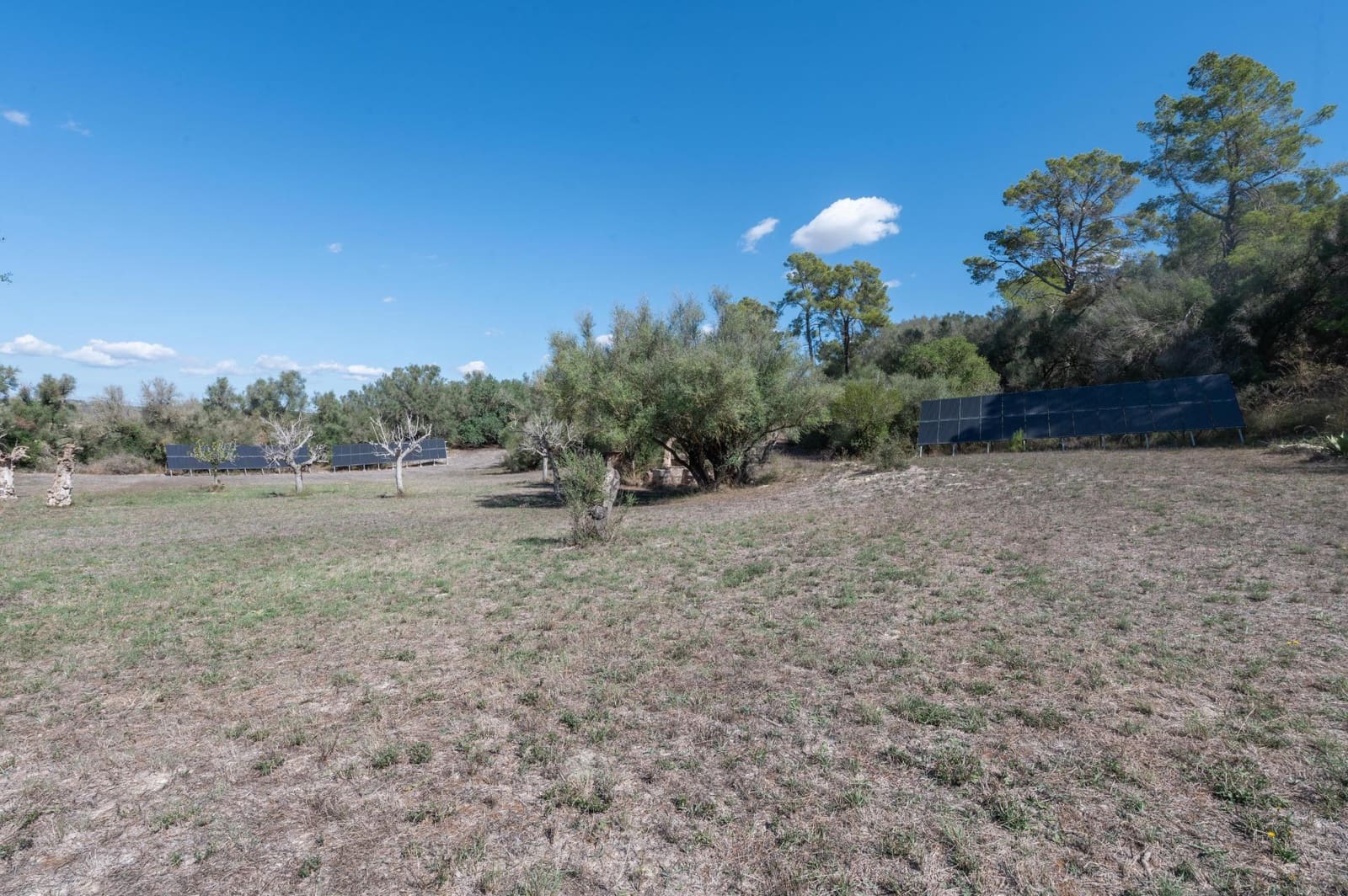 5 camera da letto Finca/Casa di Campagna in vendita in Sineu con garage - 3.150.000 € (Rif: 9393299)