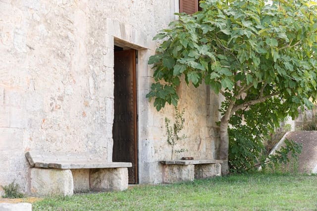 5 quarto Quinta/Casa Rural para venda em Sineu com garagem - 3 150 000 € (Ref: 9393299)