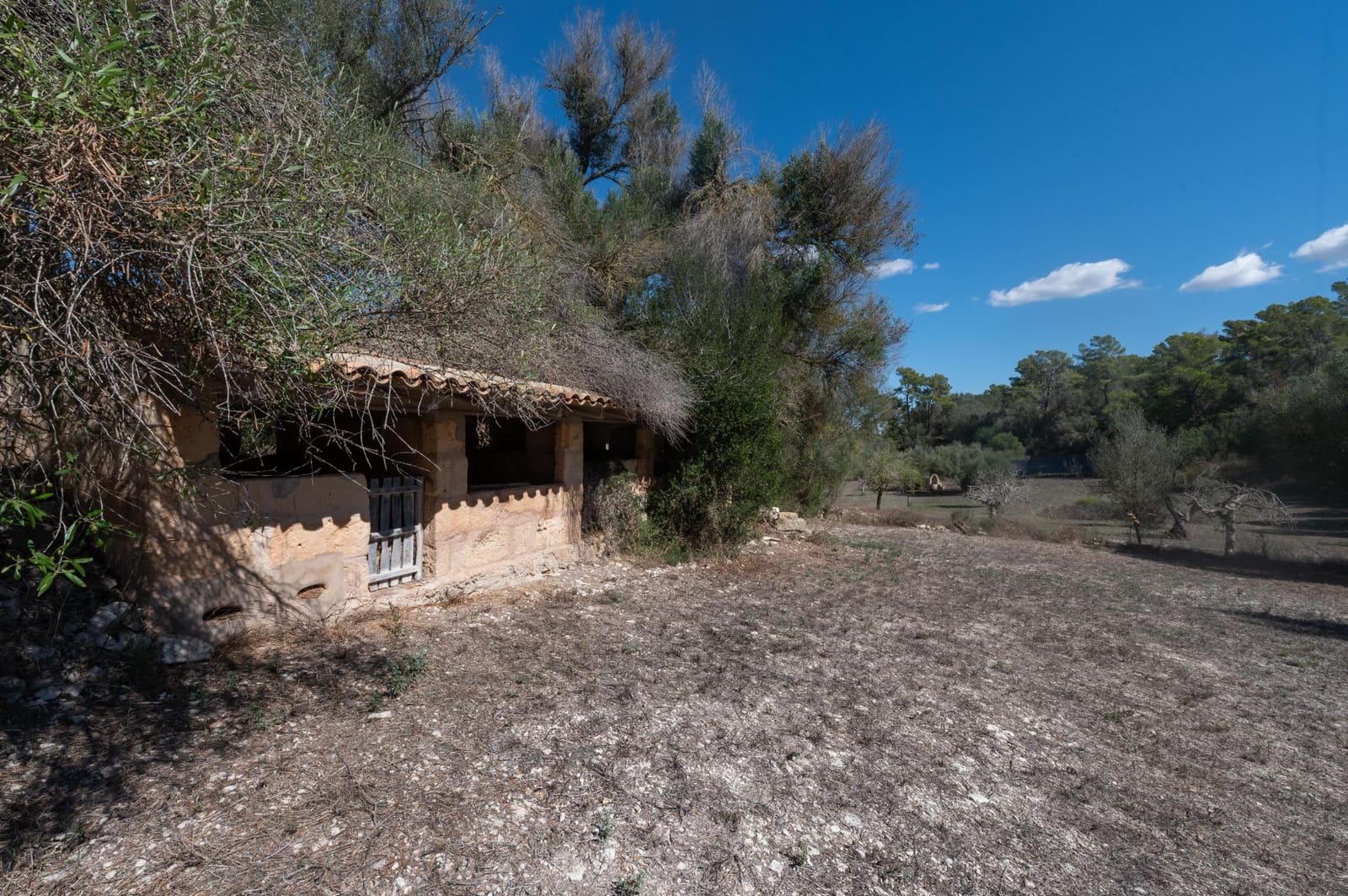 5 quarto Quinta/Casa Rural para venda em Sineu com garagem - 3 150 000 € (Ref: 9393299)