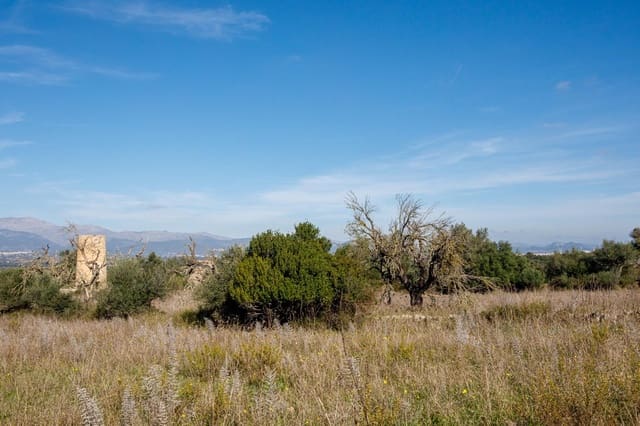 Undeveloped Land for sale in Llubí - € 495,000 (Ref: 9398508)