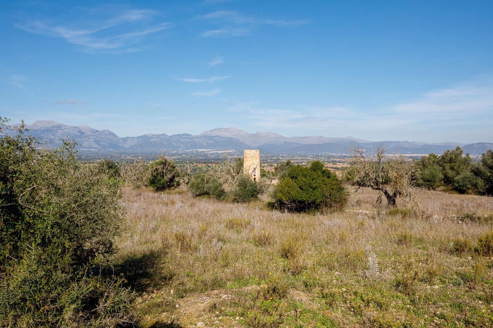 Undeveloped Land for sale in Llubi - € 495,000 (Ref: 9398508)