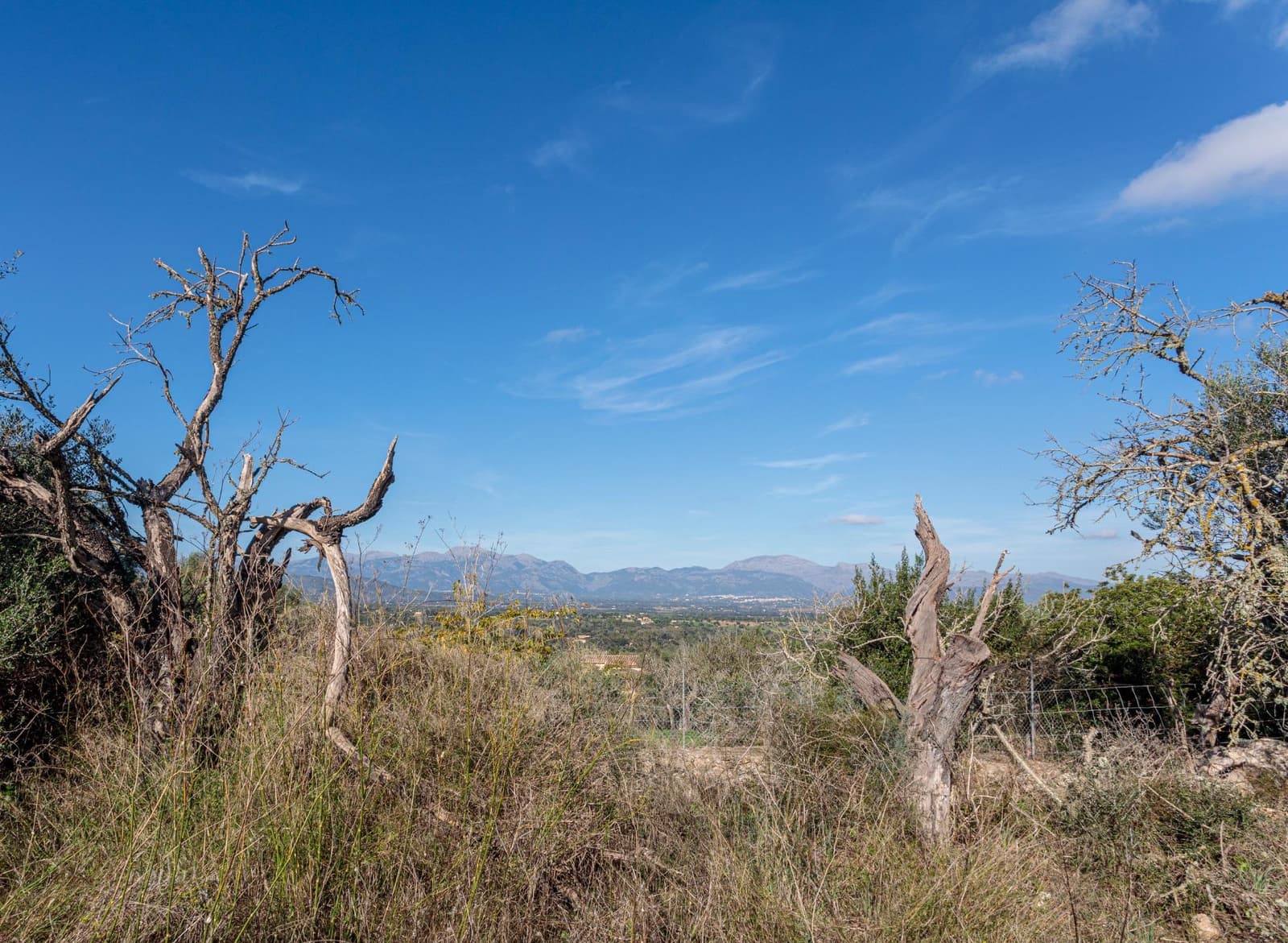 Undeveloped Land for sale in Llubi - € 495,000 (Ref: 9398508)