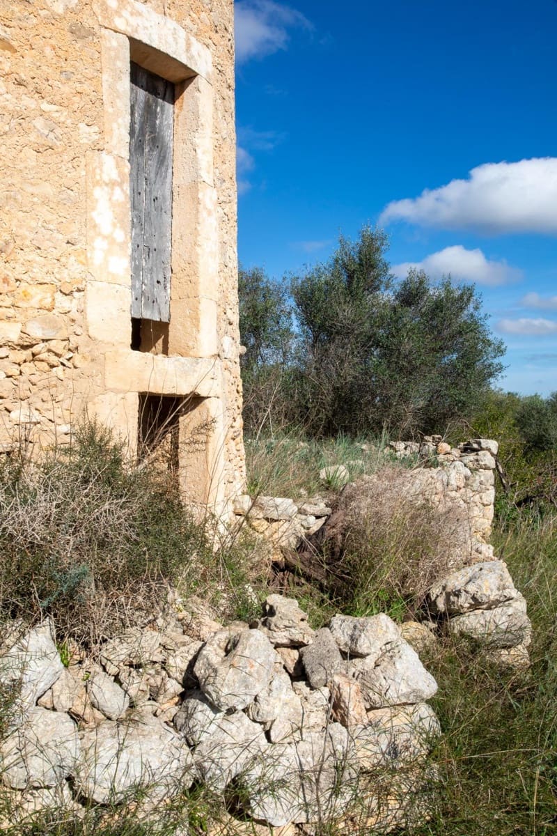 Mark till salu i Llubi - 495 000 € (Ref: 9398508)