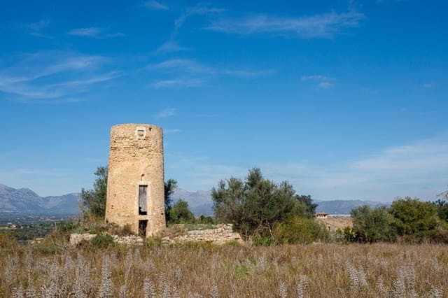 Undeveloped Land for sale in Llubí - € 495,000 (Ref: 9398508)