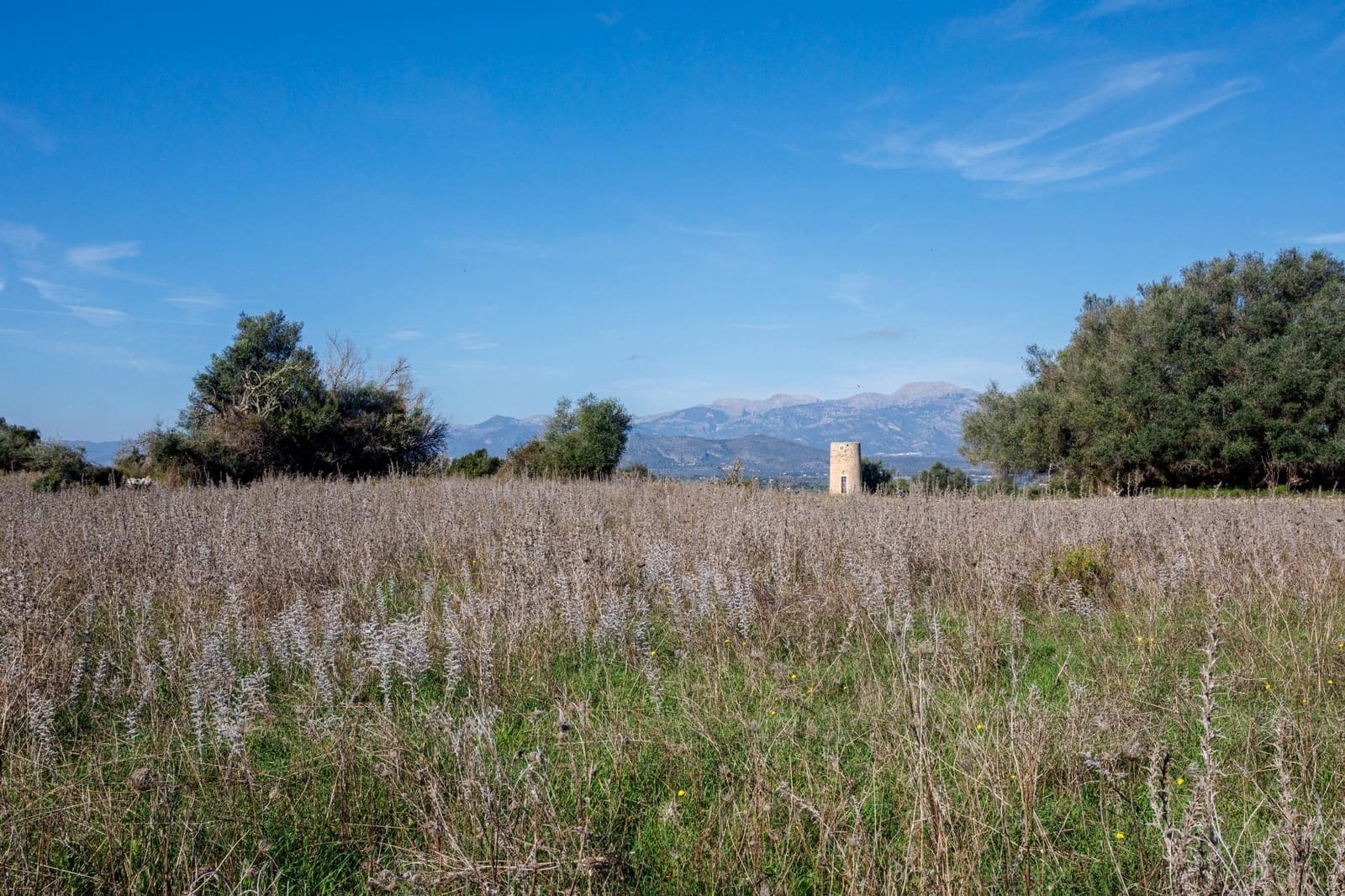 Mark till salu i Llubi - 495 000 € (Ref: 9398508)