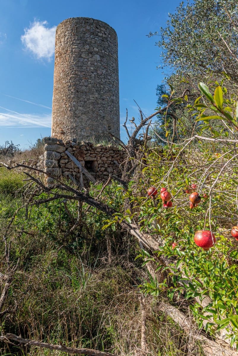 Mark till salu i Llubi - 495 000 € (Ref: 9398508)