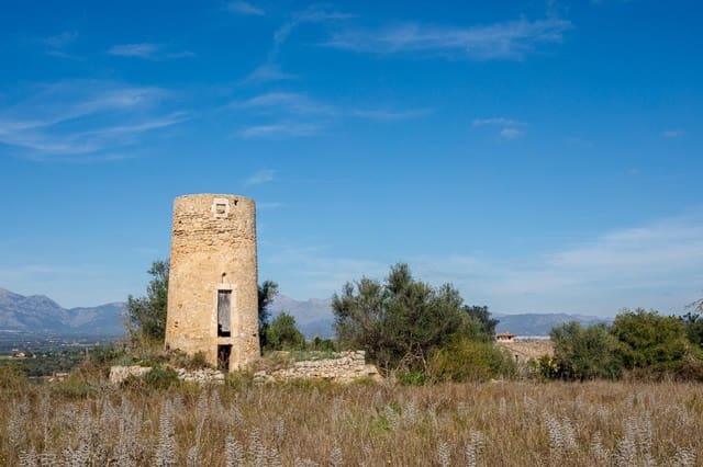 Undeveloped Land for sale in Llubí - € 495,000 (Ref: 9398508)