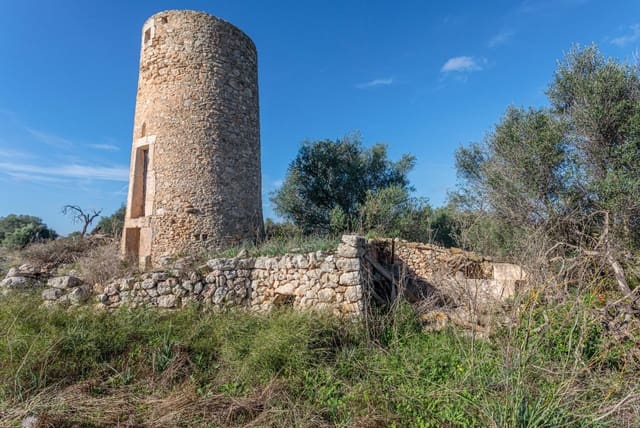 Undeveloped Land for sale in Llubí - € 495,000 (Ref: 9398508)