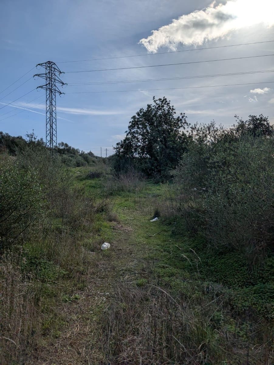 Rakentamaton maa myytävänä paikassa Sineu - 250 000 € (Ref: 9449202)