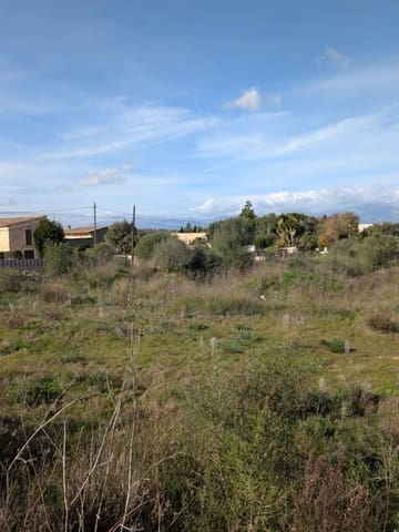 Terre non Aménagée à vendre à Sineu - 250 000 € (Ref: 9449202)