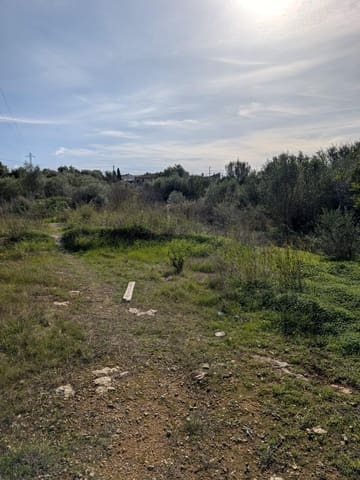 Terre non Aménagée à vendre à Sineu - 250 000 € (Ref: 9449202)