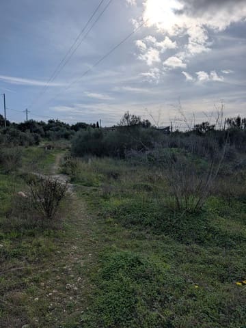 Terre non Aménagée à vendre à Sineu - 250 000 € (Ref: 9449202)