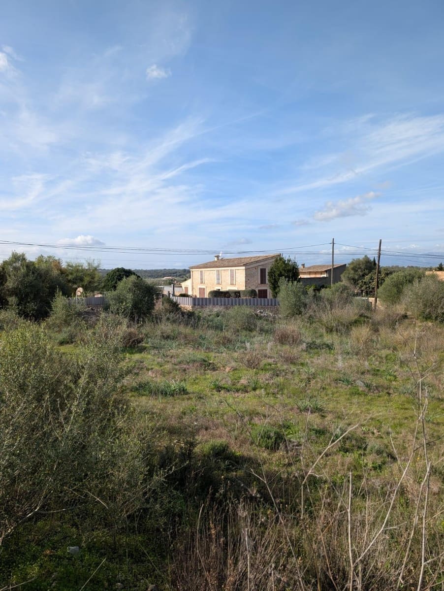 Terreno/Finca Rústica en Sineu en venta - 250.000 € (Ref: 9449202)