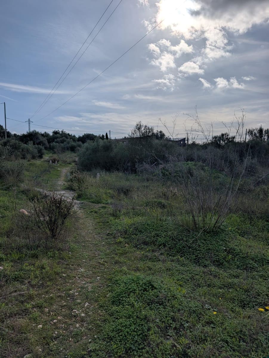 Terreno/Finca Rústica en Sineu en venta - 250.000 € (Ref: 9449202)