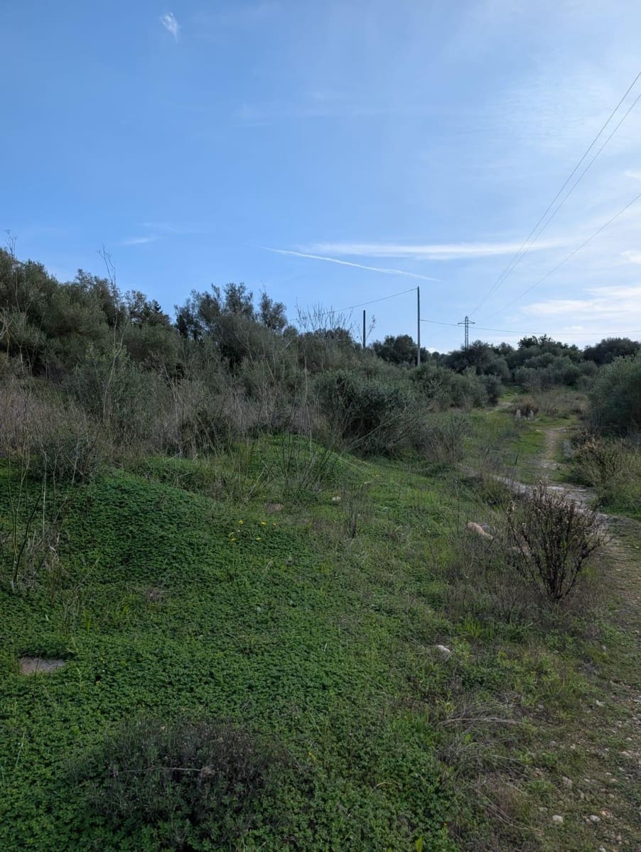 Terreno/Finca Rústica en Sineu en venta - 250.000 € (Ref: 9449202)