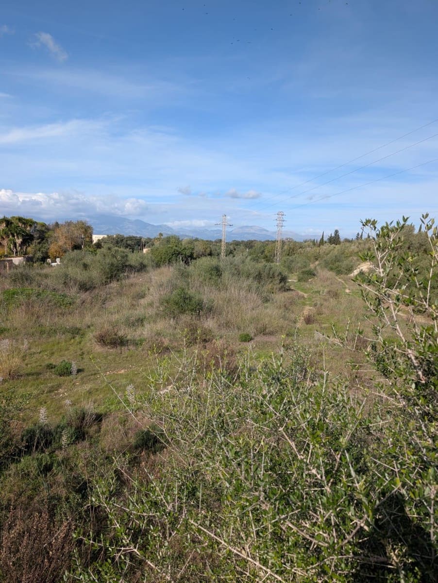 Terreno/Finca Rústica en Sineu en venta - 250.000 € (Ref: 9449202)