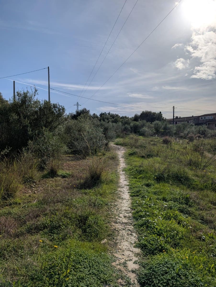 Terreno/Finca Rústica en Sineu en venta - 250.000 € (Ref: 9449202)