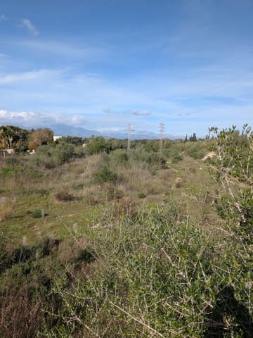 Undeveloped Land for sale in Sineu - € 250,000 (Ref: 9449202)