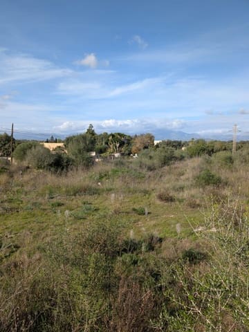 Undeveloped Land for sale in Sineu - € 250,000 (Ref: 9449202)