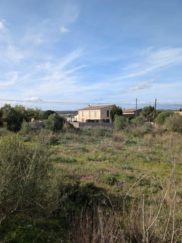 Teren niezagospodarowany na sprzedaż w Sineu - 250 000 € (Ref: 9449202)