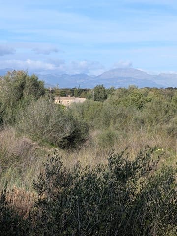 Ubebygd land til salgs i Sineu - € 250 000 (Ref: 9449202)