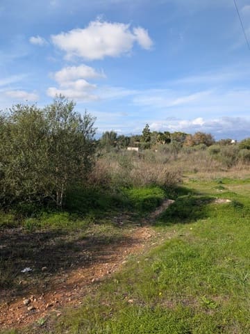 Ubebygd land til salgs i Sineu - € 250 000 (Ref: 9449202)
