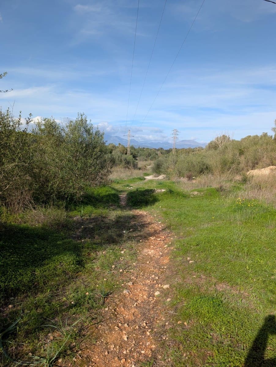 Landgrundstück zu verkaufen in Sineu - 250.000 € (Ref: 9449202)