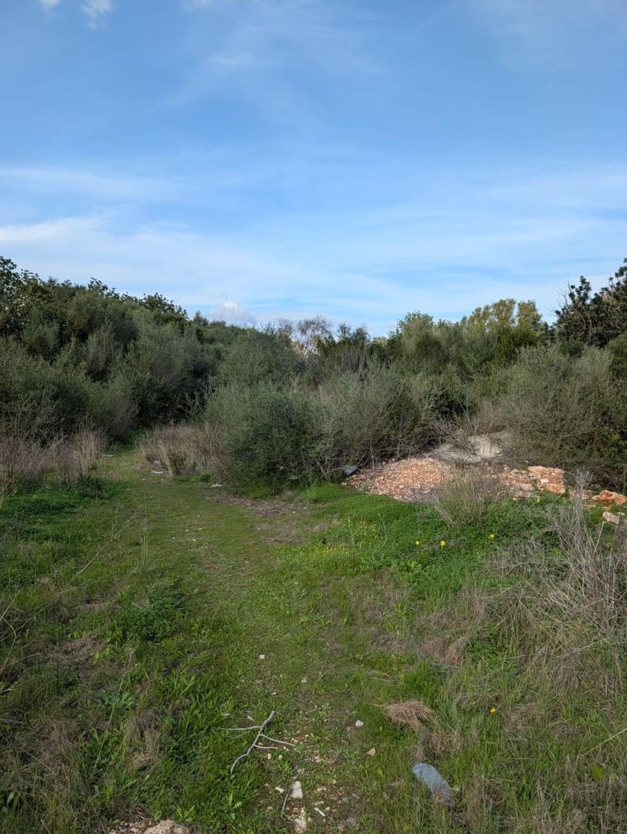 Landgrundstück zu verkaufen in Sineu - 250.000 € (Ref: 9449202)
