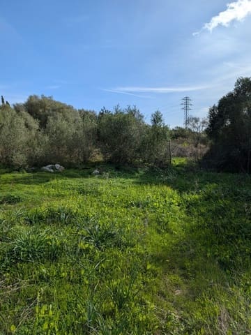 Grunde uden byggetilladelser til salg i Sineu - € 250.000 (Ref: 9449202)