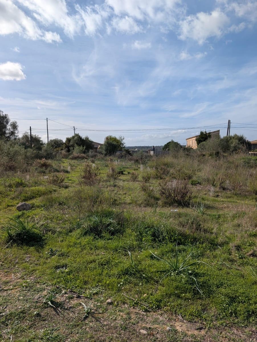 Landgrundstück zu verkaufen in Sineu - 250.000 € (Ref: 9449202)