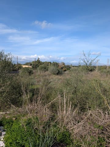 Teren niezagospodarowany na sprzedaż w Sineu - 250 000 € (Ref: 9449202)