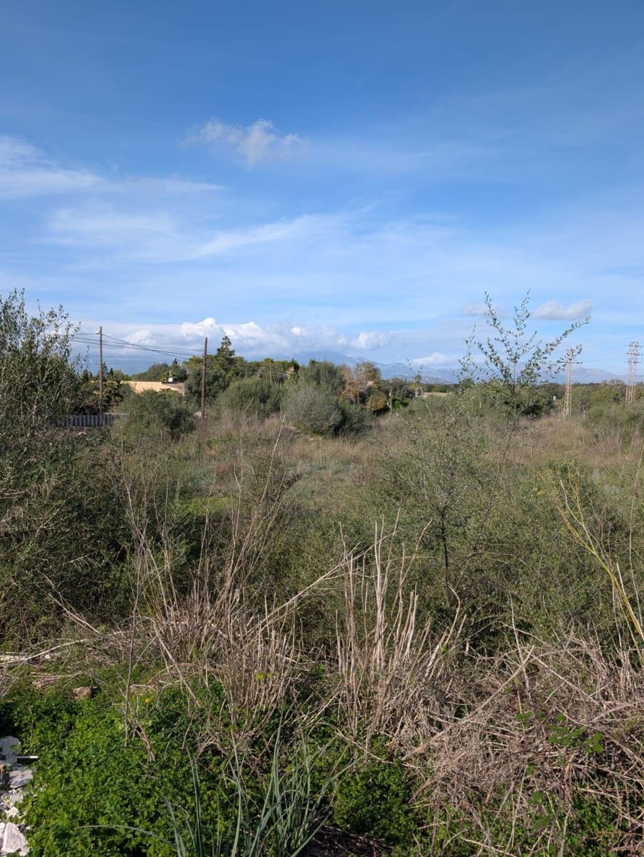 Grunde uden byggetilladelser til salg i Sineu - € 250.000 (Ref: 9449202)