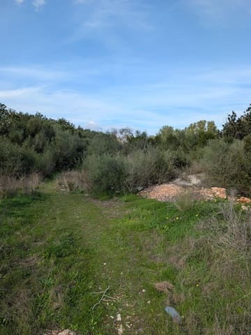 Ubebygd land til salgs i Sineu - € 250 000 (Ref: 9449202)